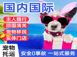 甘南夏河机场快运国际宠物托运 【国